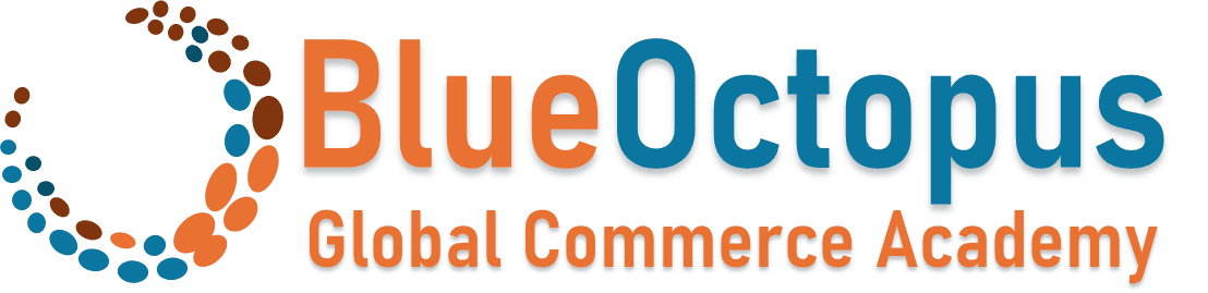 www.blueoctopusacademy.com